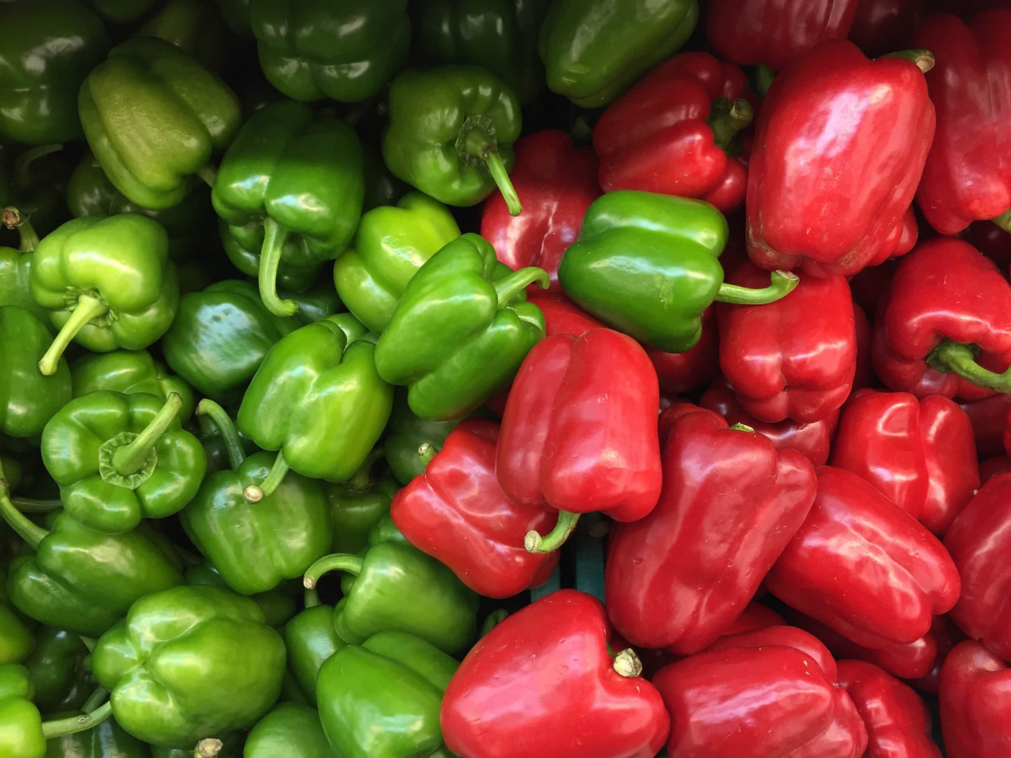 Bio Paprika rot/ rund 1 Stück (ca. 300 gr.)