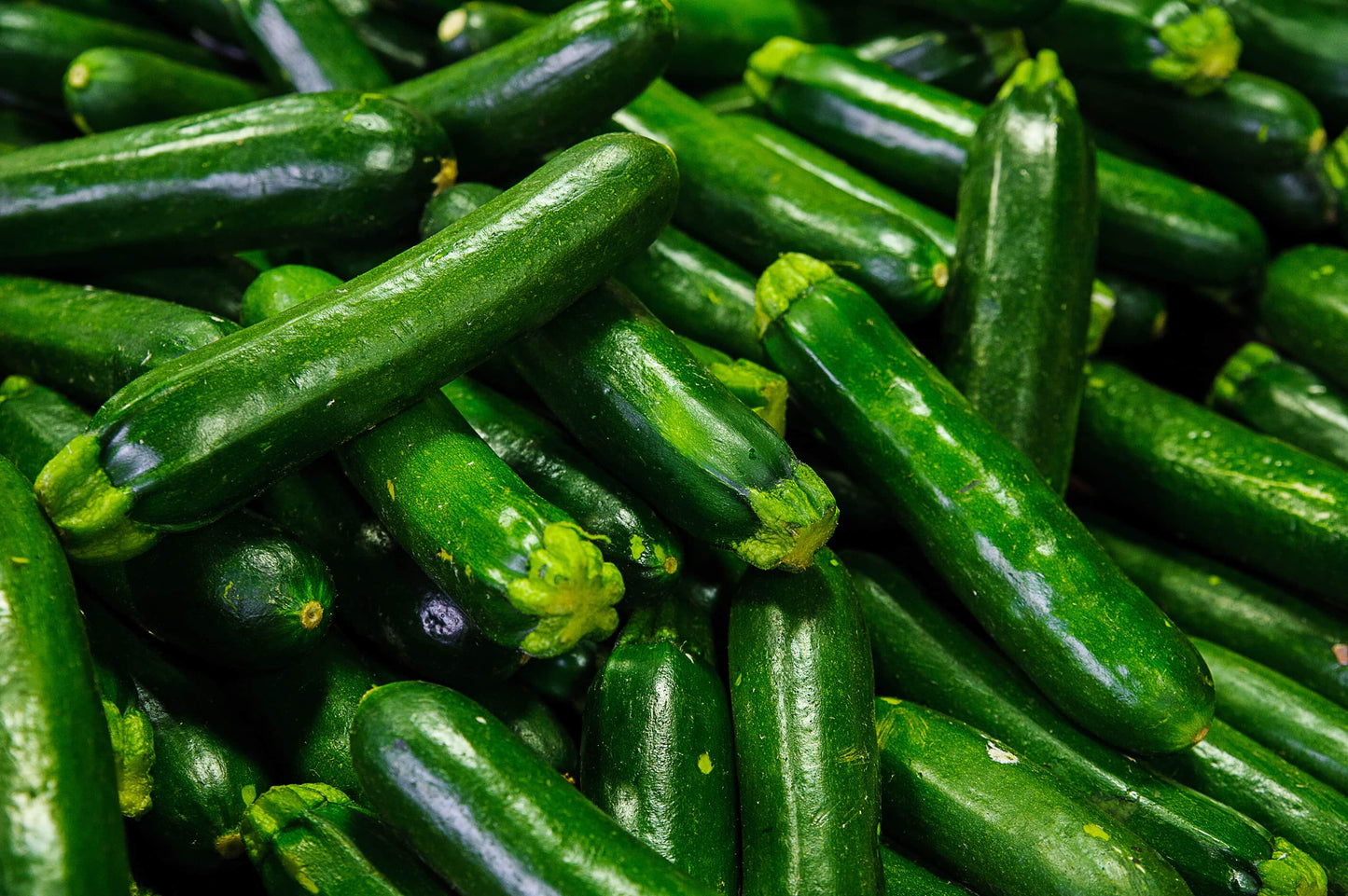 Bio Zucchini 1 Stück