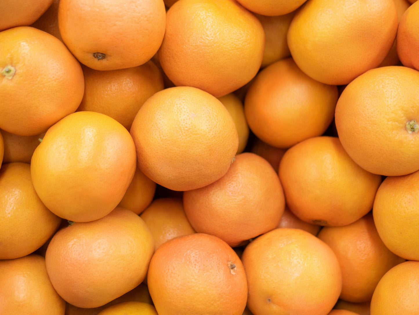 Bio Grapefruit 1 Stück (ca. 300 gr.)