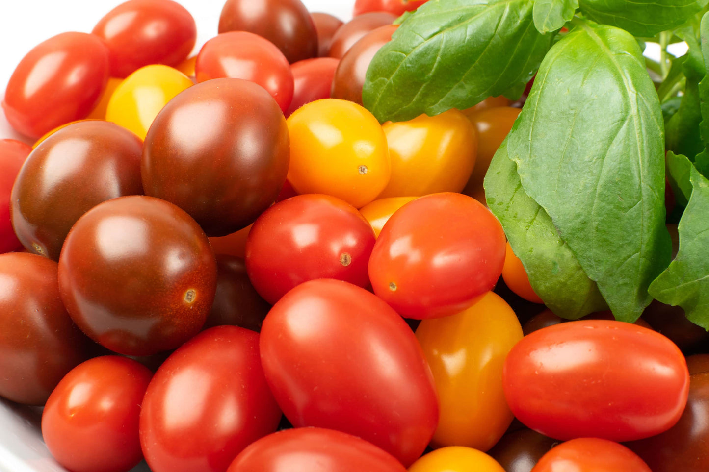 Bio Tomaten-Cocktail 500 gr.