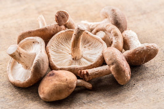 Bio Shiitake ca. 100 gr.