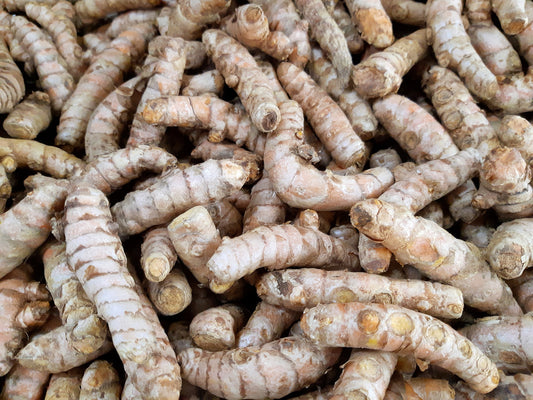 Bio Kurkuma 1 Stück (ca. 10g)