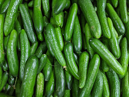 Bio Gurke kurz 1 Stück (ca. 200 gr.)