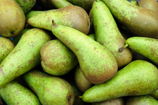 Bio Birnen Conference 1 Stück