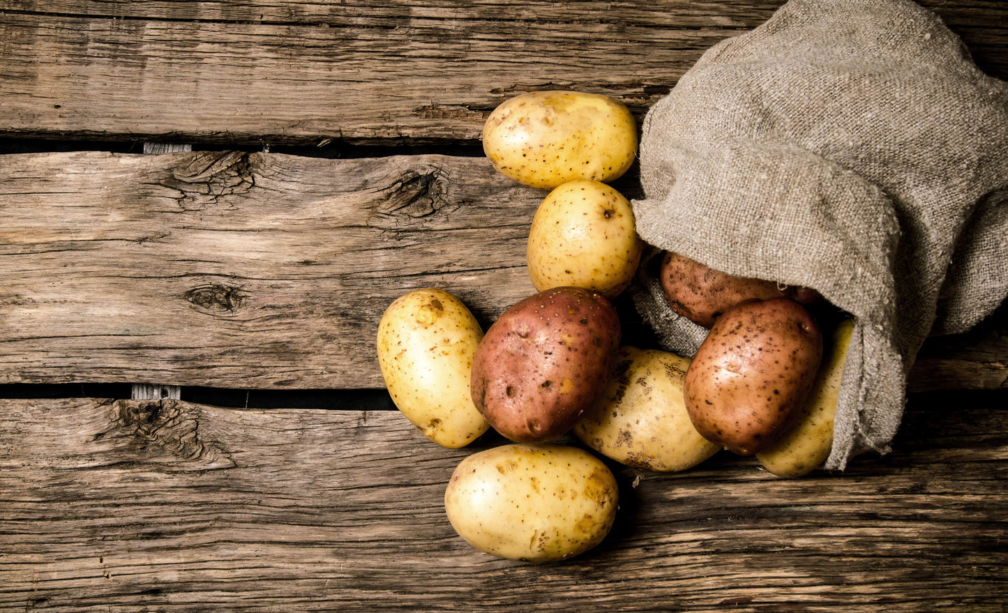 Kartoffeln Belana festkochend - das Produkt anklicken, und Mengenrabatte finden